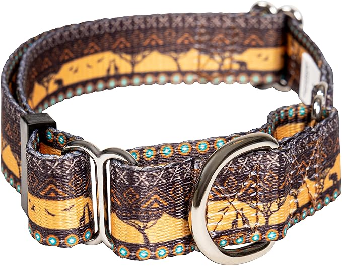 Downtown Pet Supply - Martingale Collar for Dogs - Big, Wide & Thick - Escape-Proof, Weatherproof, Durable & Comfortable - Sahara - Medium