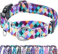 Reflective Martingale Collar for Dogs with Quick Release Buckle No Pull Training Dog Collars (Colorful Geometric, Medium)