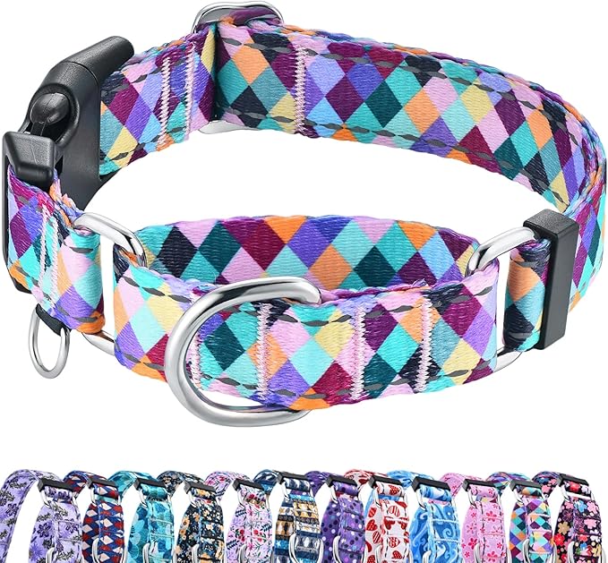 Reflective Martingale Collar for Dogs with Quick Release Buckle No Pull Training Dog Collars (Colorful Geometric, Small)