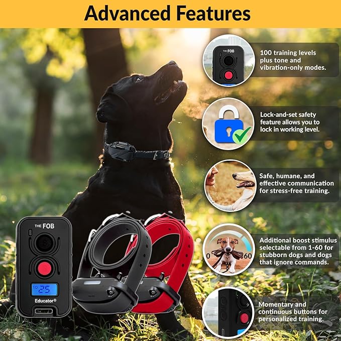 Educator FOB 300 Yard Dog Training Collar with Remote, Humane Stimulation, Pavlovian Tone, Waterproof, Odorproof Biothane Collar, Night Light, Rechargeable, 2 Dog, Black