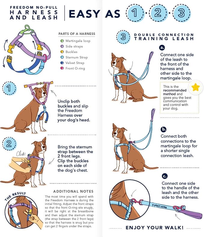 2 Hounds Design Freedom No Pull Dog Harness, Adjustable Harness and Leash Set, Easy Walking & Comfortable Control, Fits Small, Medium & Large Dogs, Solid Colors, Made in USA, 5/8" SM, Star Sprangled