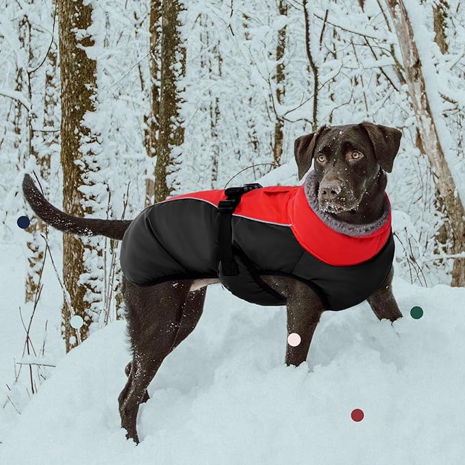 IECOii Extra Warm Dog Coat - Reflective Adjustable Jacket With Buckle Fleece Turtleneck for Cold Weather - Soft Winter Coat for Small Medium Extra Large Dogs