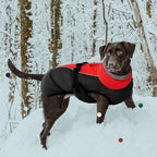 IECOii Extra Warm Dog Coat - Reflective Adjustable Jacket With Buckle Fleece Turtleneck for Cold Weather - Soft Winter Coat for Small Medium Extra Large Dogs