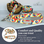 Lucky Love Dog Martingale Dog Collar & Leash - Adjustable, No-Slip, Durable, Comfortable, Soft Webbing, & Stylish Patterned Collar & Leash Set for Male and Female Dogs - Oscar Combo, Small
