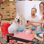 Dog Tutu Tulle Tutu for Dogs Small Large Medium Puppy Dress Ballerina Costume Skirt for Holiday Puppy Cats Bunny Pet Outfit Birthday Wedding Party Photo Prop Supplies(Red)