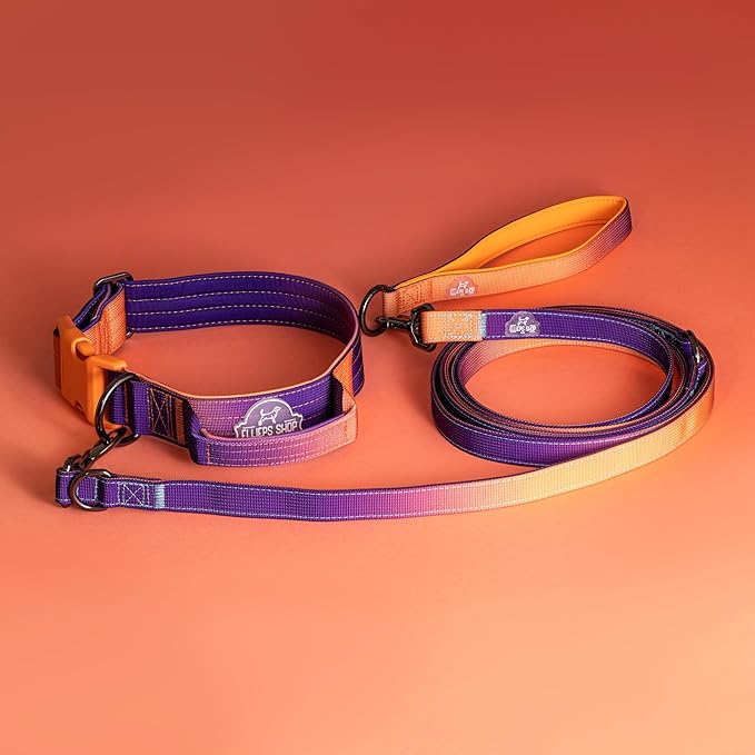 Tactical Dog Collar with Control Handle - Adjustable, Heavy Duty, Training and Walking for Medium and Large Breeds (Orange Violet, L: 18'' - 23'')