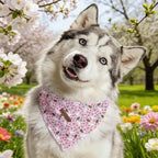 Elegant little tail Dog Bandana, Cute Goose 1PC Washable Dog Scarf Female or Male Square Bib Kerchief Scarf Adjustable Pet Bandana for Medium Large Dogs