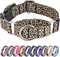 Hikiko Martingale Collar for Dogs Classic Leopard Dog Collar for Small Medium Large Dogs Durable Escape Proof Dog Collars (Leopard,Large)