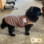 KYEESE 2Pack Dog Shirts Striped for Small Pups Soft Stretchy Pet T-Shirts Lightweight Puppy Tank Top Sleeveless Canine Vest Breathable, X-Large, Green+Pink