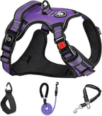 NESTROAD No Pull Dog Harness,Adjustable Oxford Dog Vest Harness with Leash,Reflective No-Choke Pet Harness with Easy Control Soft Handle for Small Medium Dogs(Medium,Purple)