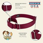 Country Brook Petz - Martingale Dog Collar - Heavy-Duty Training Collar with No Buckle - Service Dog Collar for All Pups - 10+ Warm Colors (Burgundy, 3/8 Inch, 2XS)