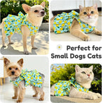 BAEJMJK Dog Dress Bowknot Harness Leash Set for Small Dogs Cats Girl Floral Princess Dog Dresses Cute Puppy Fruit Clothes Pet Doggy Outfits Spring Summer Breathable Dresses(Green,Small)