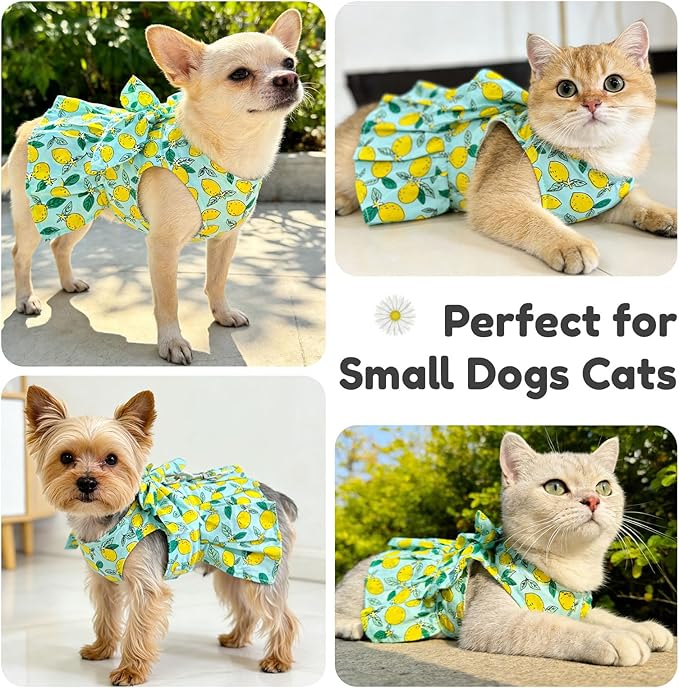 BAEJMJK Dog Dress Bowknot Harness Leash Set for Small Dogs Cats Girl Floral Princess Dog Dresses Cute Puppy Fruit Clothes Pet Doggy Outfits Spring Summer Breathable Dresses(Green,Large)