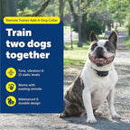PetSafe Add-A-Dog Remote Training Collar – Perfect for Small, Medium and Large Dogs – Choose from Tone, Vibration, or 15 Levels of Static Stimulation – Waterproof and Durable – Rechargeable