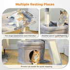 PEQULTI Small Cat Tree Tower for Large Adult Cats and PEQULTI Cat Tree Tower for Indoor Cats
