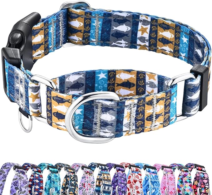 Reflective Martingale Collar with Buckle Shark Starfish Ethnic Stripe Adjustable Designer Dog Collars (Underwater World, Small)
