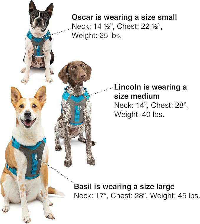 Kurgo Journey Air Dog Harness - Secure Fit for Active Dogs - Padded Chest - Lightweight Ripstop Fabric - Breathable Mesh - Reflective Trim - Back Assist Handle - Coral - Small