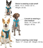 Kurgo Journey Air Dog Harness - Secure Fit for Active Dogs - Padded Chest - Lightweight Ripstop Fabric - Breathable Mesh - Reflective Trim - Back Assist Handle - Coral - Medium