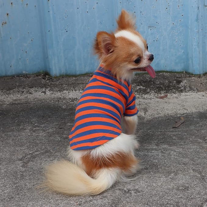 LOPHIPETS 100% Breathable Cotton Striped Dog Tee Shirt T-Shirt for Small Dogs Teacup Chihuahua Yorkie Puppy Clothes -Orange and Blue Strips/S
