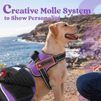 rabbitgoo Dog Harness Medium Sized, No Pull No Choke Pet Vest, Easy Wearing with One Buckle, Reflective, Adjustable Pet Harness with Molle for Walking, Training, Purple, M