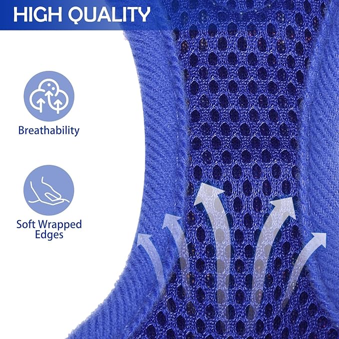 SCENEREAL Puppy Dog Harness with Leash Set for Small Medium Sized Dogs, Soft Mesh Step in Pet Harnesses and Leash, No Chock Plaid Adjustable No Pull Vest for Dogs Cats, Chihuahua,Bulldog (Blue XS)