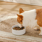 MALACASA Ceramic Dog Food Bowl, 3.5 Cups or 32oz Dog Food Water Dish for Mudium Breeds, Pet Bowl Dishwasher & Microwave Safe, Honeycomb, Series Lydia