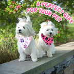 Reginary 120 Pcs Paw Bone Print Dog Bandanas Bulk Dog Bows Set Bow Ties Cat Scarf Colorful Washable Triangle Pet Kerchief Cute Bib for Summer Small Medium Large Pets Grooming Accessories Costume
