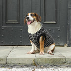 Fleece Lining Dog Hoodie for Small Dogs Extra Warm Plaid Sweater with Drawstring Hooded Coats in Winter Puppy Jacket,Black M