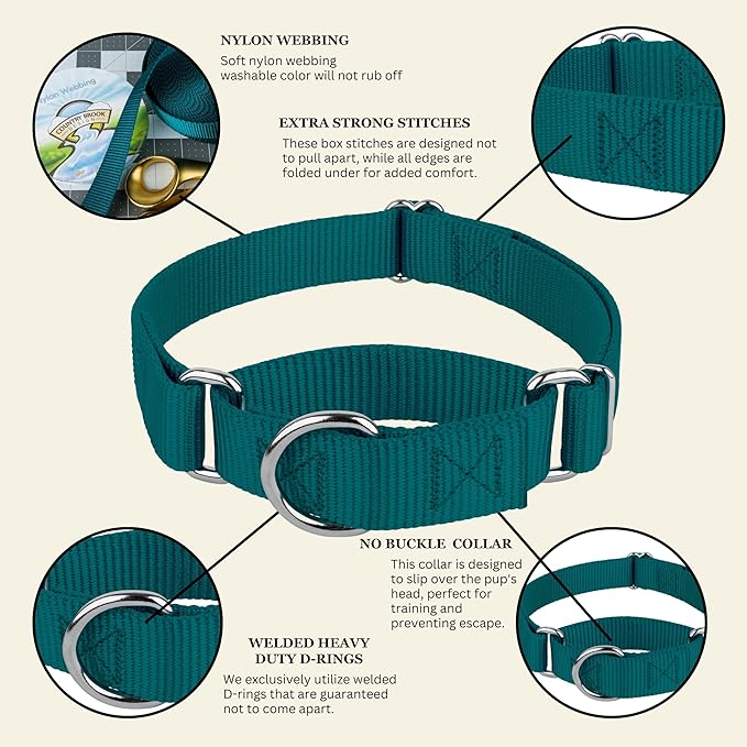 Country Brook Petz - Martingale Dog Collar - Heavy-Duty Training Collar with No Buckle - Service Dog Collar for All Pups - 10+ Cool Colors (Teal, 1 Inch, Extra Large)