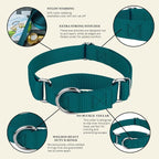 Country Brook Petz - Martingale Dog Collar - Heavy-Duty Training Collar with No Buckle - Service Dog Collar for All Pups - 10+ Cool Colors (Teal, 1 Inch, Large)