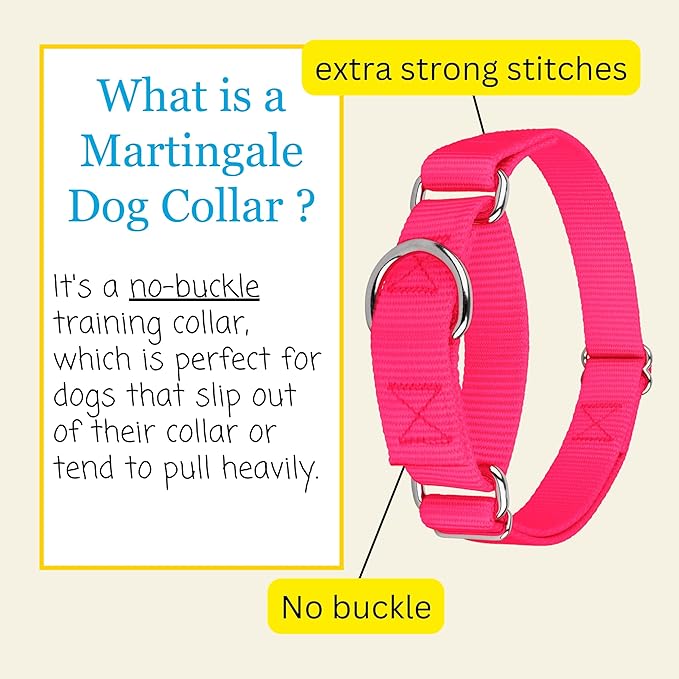 Country Brook Petz - Martingale Dog Collar - Heavy-Duty Training Collar with No Buckle - Service Dog Collar for All Pups - 10+ Warm Colors (Hot Pink, 3/8 Inch, 2XS)