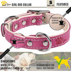 ADITYNA Heavy-Duty Pink Leather Dog Collar for Small Dogs - Soft Padded for Comfort - Girl Dog Collar for Walking, Training, and Hiking