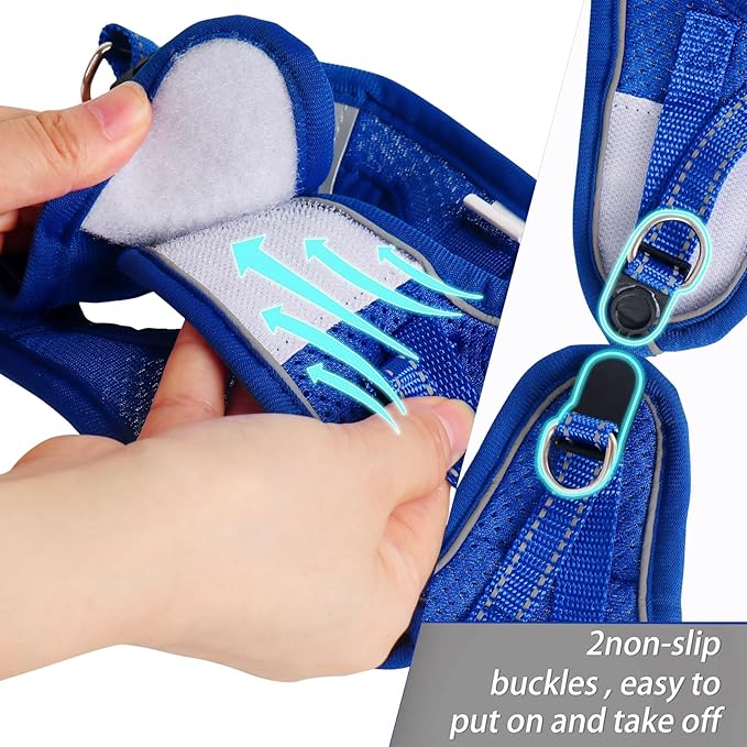 Dog Harness for Small Dogs and Leash Set, Honeycomb Grid, Reflective Lightweight Harness & Anti-Twist Pet Lead (Multi Color, Size: XS-S-M) (XS, Sapphire Blue)