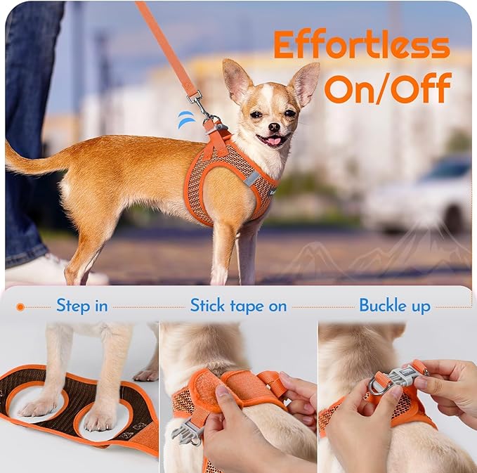 Eagloo Small Dog Harness and Leash Set, Step in Puppy Vest with Breathable Soft Mesh, Walking Reflective Pet Harness for Small Dogs, Orange, XS