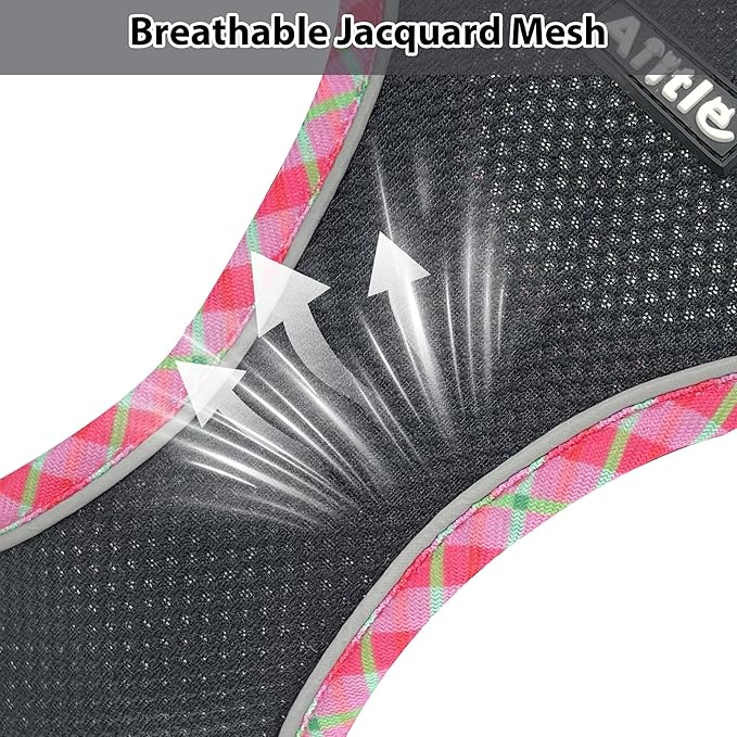 AIITLE XXS Dog Harness & Leash Set - Breathable Reflective No-Choke Small Dog Harness for Teacup Puppies, Indoor/Outdoor Use - Boston Terrier, Maltese, Chihuahua(Black, XXS)