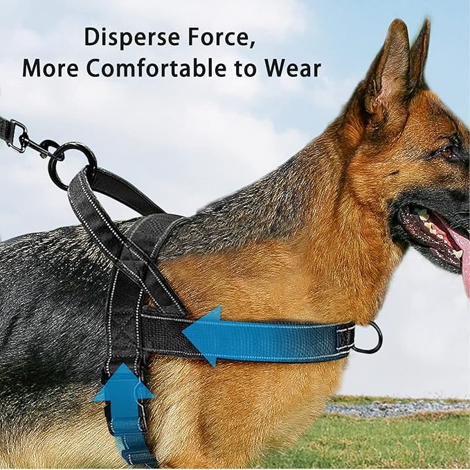Dog Harness, No Pull Reflective Adjustable Harness for Medium Large Dogs, Escape Proof, Lightweight, Breathable, Oxford Nylon, 360° Chest Strap, Back Control Handle, Black M