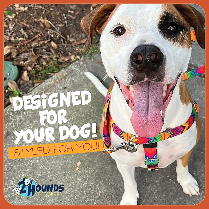 2 Hounds Design Freedom No Pull Dog Harness, Adjustable Harness, Easy Walking & Comfortable Control, Fits Small, Medium & Large Dogs, Solid Colors, Made in USA, 1" XL, Yellow
