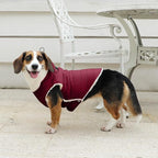 Fleece Lining Dog Hoodie with Harness Built in,Extra Warm Small Dog Jacket in Winter Puppy Coats with Drawstring Hooded,Red S