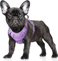 BARKBAY No Pull Dog Harness Large Reflective Dog Harness with Front Clip and Easy Control Handle for Walking Training Running with ID tag Pocket(Violet Purple,S)