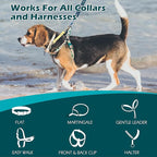 PetBonus Dog Collar Safety Clip, Waterproof Backup Safety Strap for Dog Harness to Prong Collar, Odor Proof Double Ended Clasp Leash Connector for Training Walking (Sand)