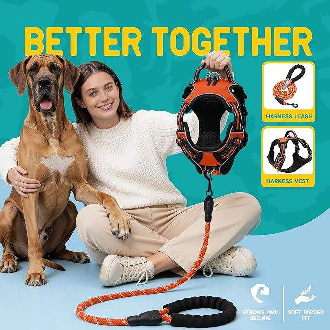 No Pull Dog Harness and Leash Set for Extra Large Dogs – Adjustable Reflective Breathable Soft Padded Easy Control Dog Harness for Training & Walking, Orange (X-Large)