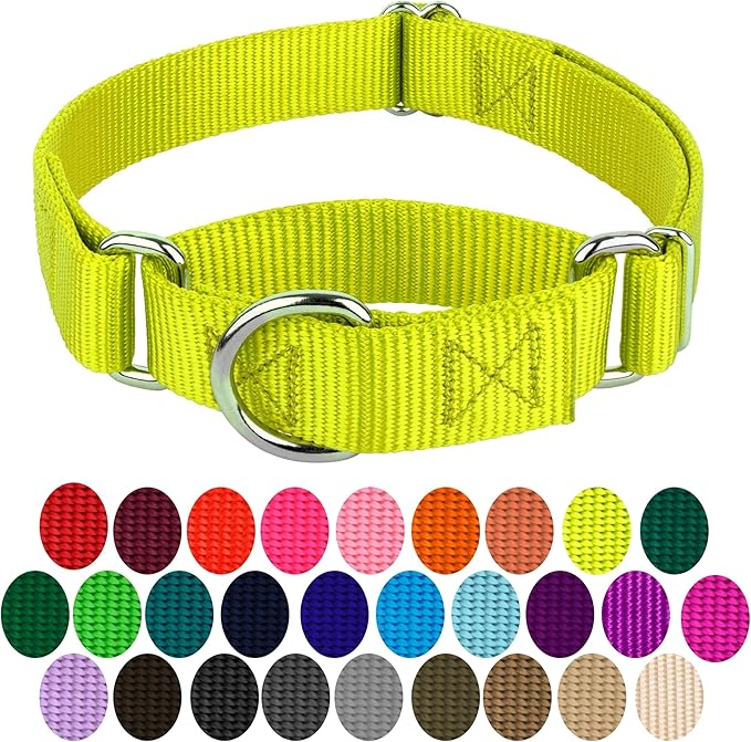 Country Brook Petz - Martingale Dog Collar - Heavy-Duty Training Collar with No Buckle - Service Dog Collar for All Pups - 10+ Warm Colors (Hot Yellow, 3/4 Inch, Small)