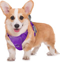 BARKBAY No Pull Dog Harness Large Reflective Dog Harness with Front Clip and Easy Control Handle for Walking Training Running with ID tag Pocket(Purple,M)