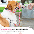 HIGO Dog Head Collar, Adjustable Head Collar for Dogs, No Pulling Head Halter, Training Nose Leash, 3 Pattern Muzzle Leash for Small Medium Large Dogs Easy Walking (Pink, M)