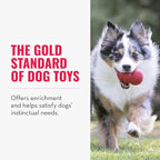 KONG Classic Stuffable Dog Toy - Fetch & Chew Toy for Dogs - Treat-Filling Capabilities & Erratic Bounce for Extended Play Time - Durable Natural Rubber Material - for Extra Large Dogs