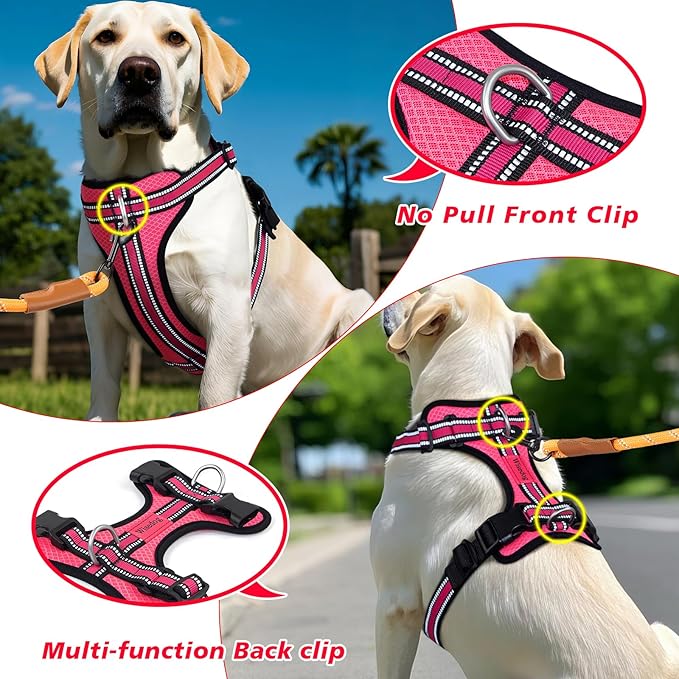 Wisedog Reflective No Pull Dog Harness - Adjustable Lightweight Pet Vest with 3 Fast-Release Buckles for Dogs Walking, Running and Training(XS, Bright Pink)