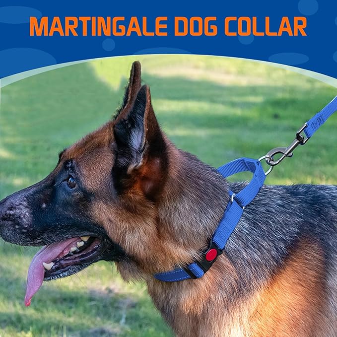 Kazazoo Martingale Collar for Dogs with Quick Release Buckle Adjustable Soft Durable Dog Collar for Small Medium Large No Pull Training Dog Collars-Blue M