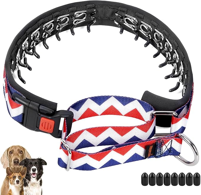 Mayerzon No Pull Dog Prong Collar Martingale, Personalized Pinch Collar with Geometric Patterns for Large Medium Small Dogs for Walking Training Festival, Easy to Use(L, Ethnic Red)