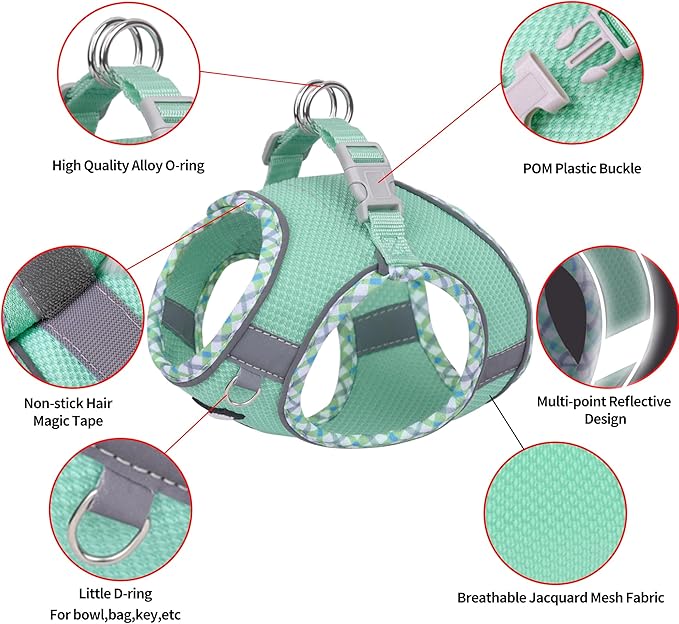 AIITLE XXS Dog Harness & Leash Set - Breathable Reflective No-Choke Small Dog Harness for Teacup Puppies, Indoor/Outdoor Use - Boston Terrier, Maltese, Chihuahua (Turquoise, XXS)