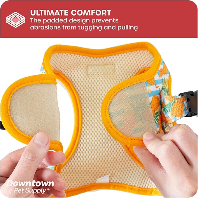 Downtown Pet Supply Step-in Dog Harness – No Pull, Adjustable Padded Mesh with Reflective Trim, Secure Buckle Strap – Comfortable & Breathable Small Dog Harness, X-Small, Pineapple